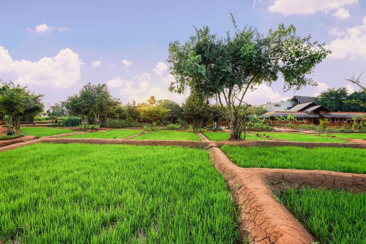 Hotel Ayurvie Sigiriya - Ayurvedic Retreat By Thema Collection Exterior foto